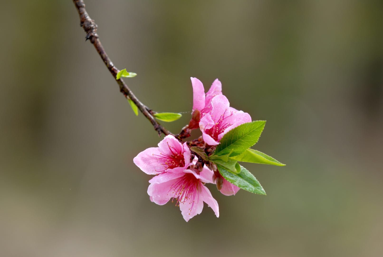 Hello Spring! Ruilong production line fully resumed